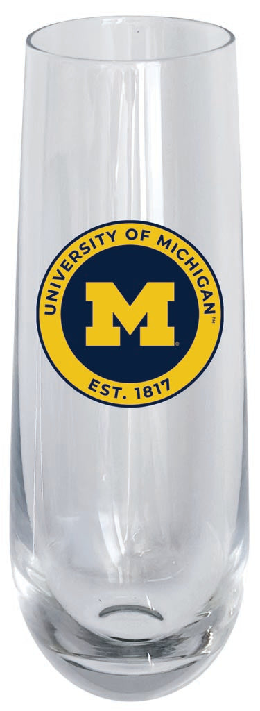 Michigan Wolverines 10oz Stemless Flute Officially Licensed Collegiate Product Single