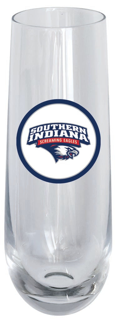 University of Southern Indiana 10oz Stemless Flute Officially Licensed Collegiate Product Single