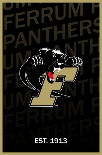 Ferrum College Vintage College Poster Officially Licensed Collegiate Product 8 x 10-Inches