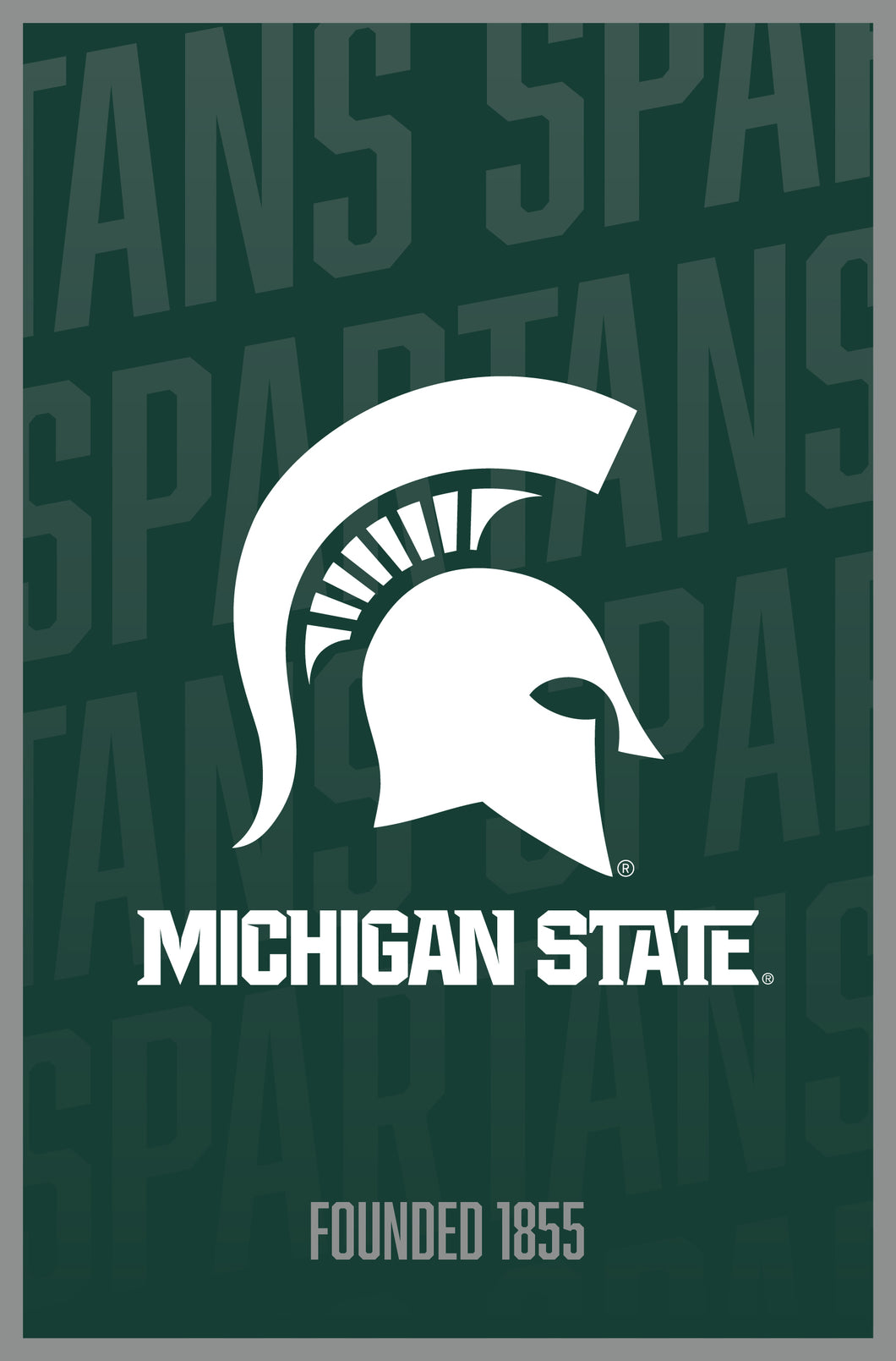 Michigan State Spartans Vintage College Poster Officially Licensed Collegiate Product 16 x 24-Inches