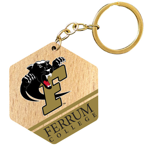 Ferrum College 2