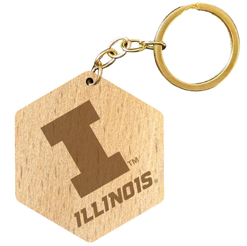 Illinois Fighting Illini 2