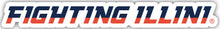 Load image into Gallery viewer, Illinois Fighting Illini Wordmark Vinyl Decal Sticker
