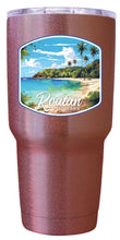 Load image into Gallery viewer, Roatan Honduras C Souvenir 24 oz Insulated Stainless Steel Tumbler
